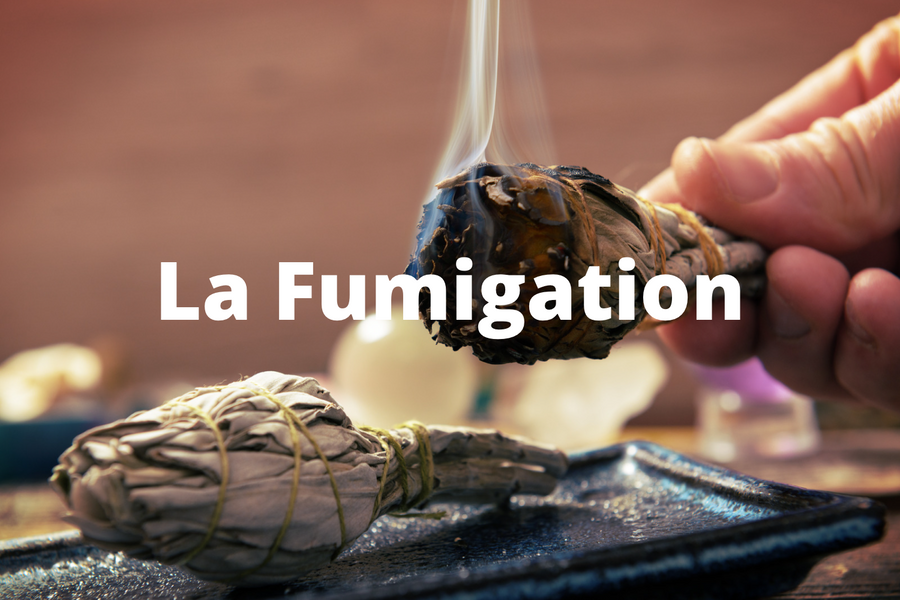 La Fumigation : explications et mode d'emploi