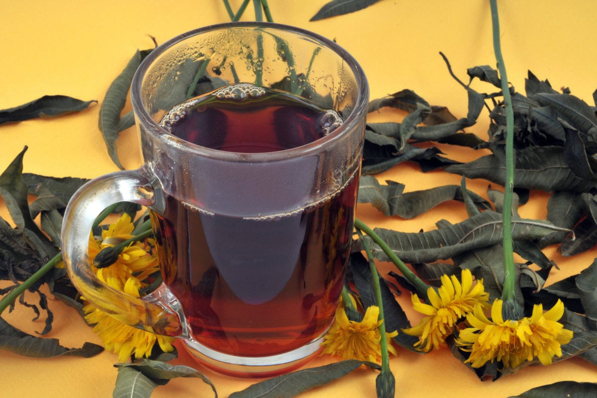 Découvrez la différence entre une tisane, une infusion et une décoction et les méthodes de préparation