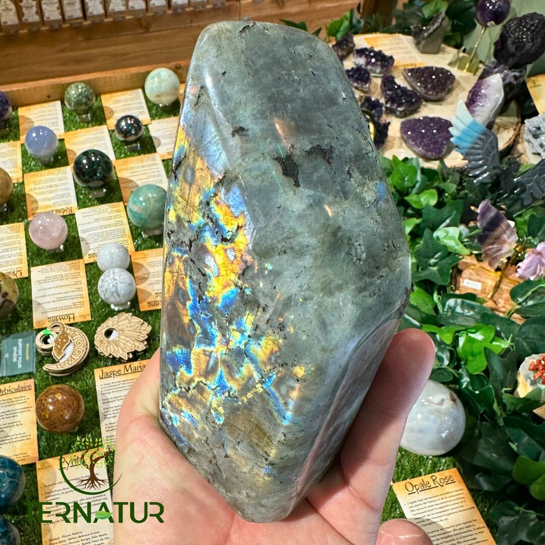 Labradorite Spectrolite Forme Libre - 980gr