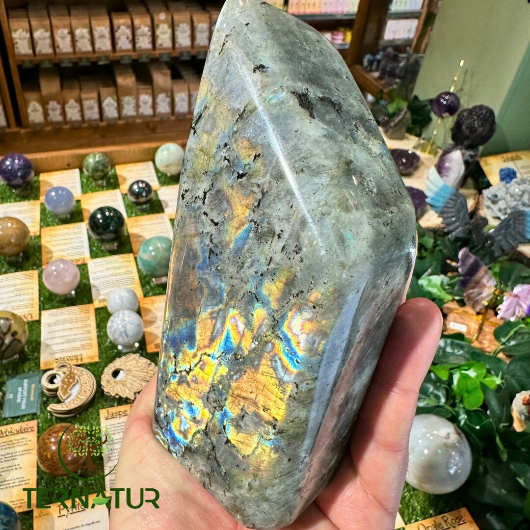 Labradorite Spectrolite Forme Libre - 980gr