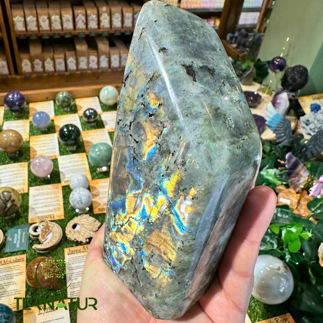 Labradorite Spectrolite Forme Libre - 980gr