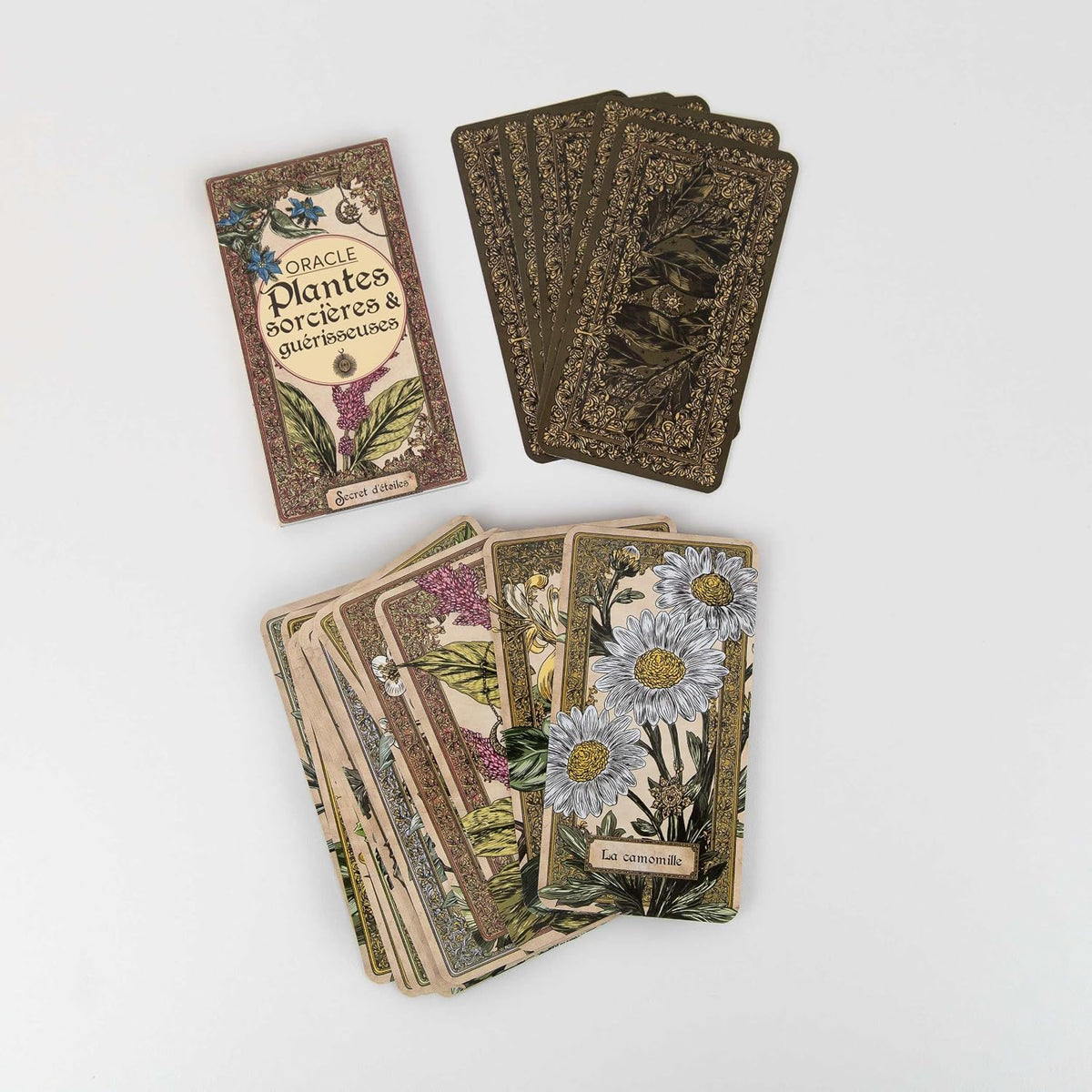 Oracle Plantes Sorcières & Guérisseuses