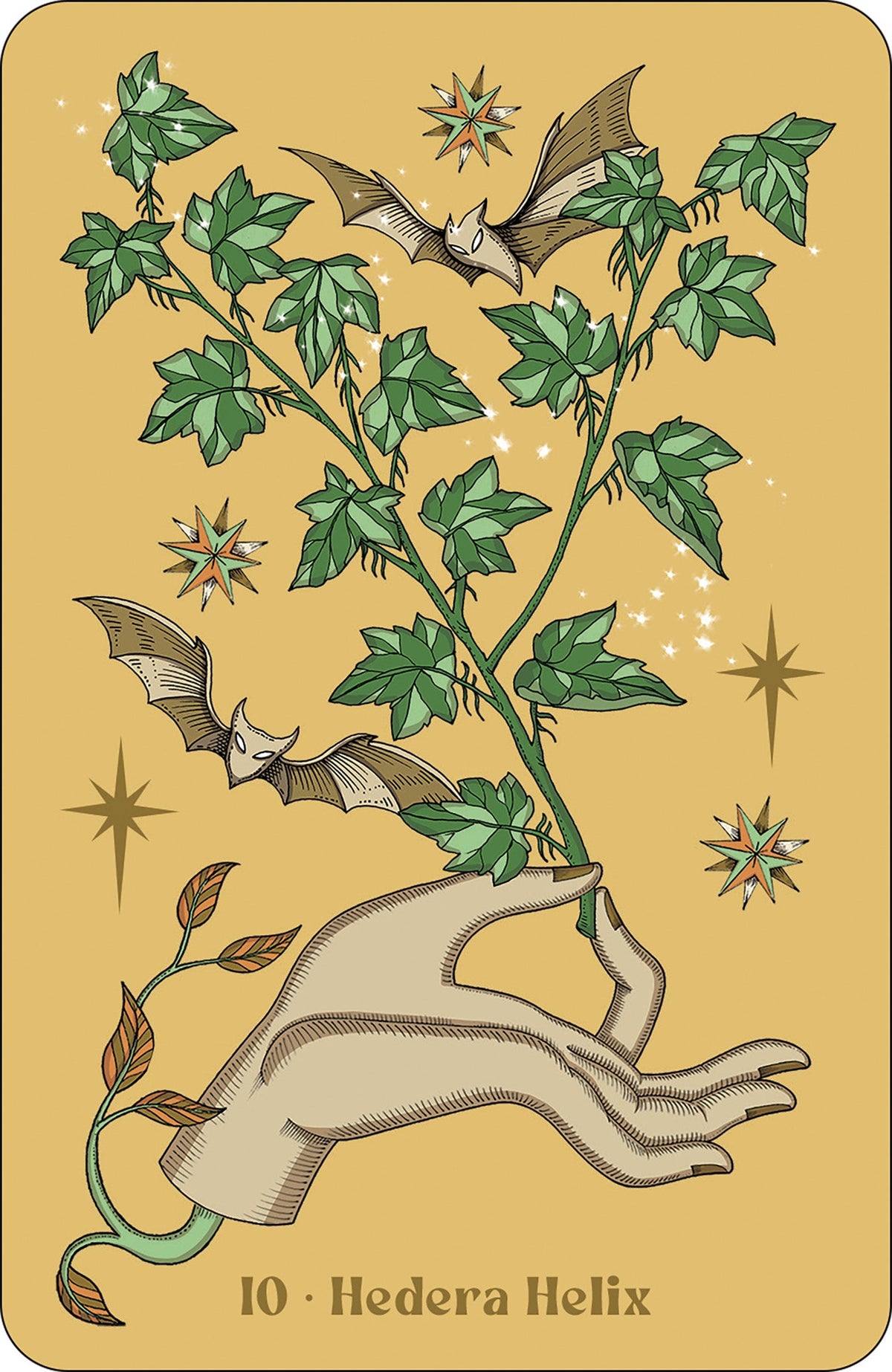 Herbarium