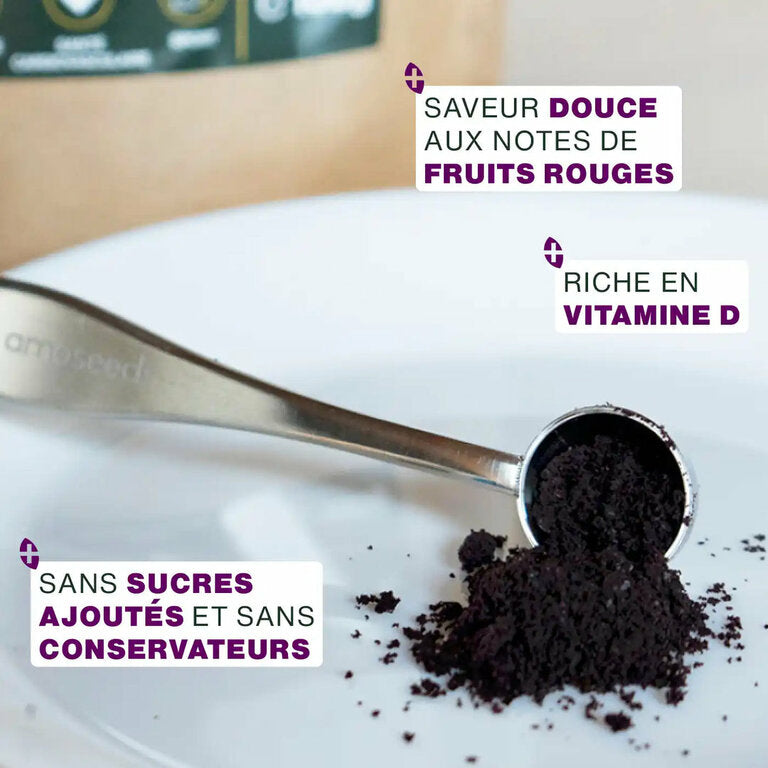 Açai en poudre Bio - 100gr