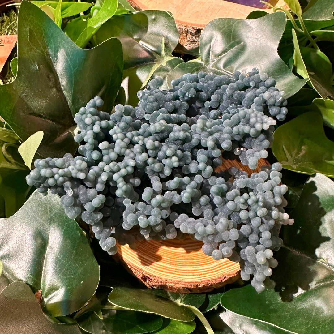 Agate Raisin Brute - Spécimen