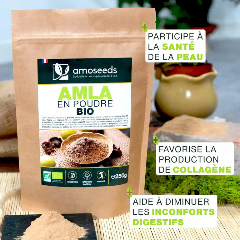 Poudre d’Amla Bio – 250gr