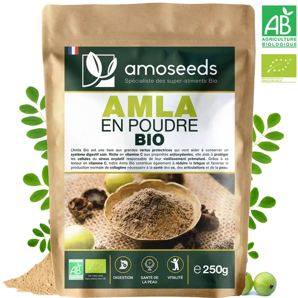 Poudre d’Amla Bio – 250gr