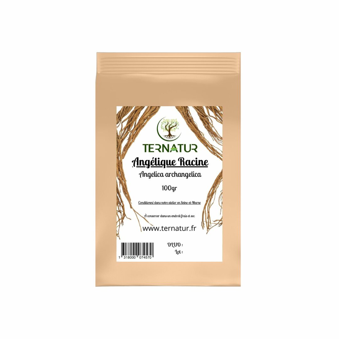 Angélique - Racine 100g - Angelica archangelica