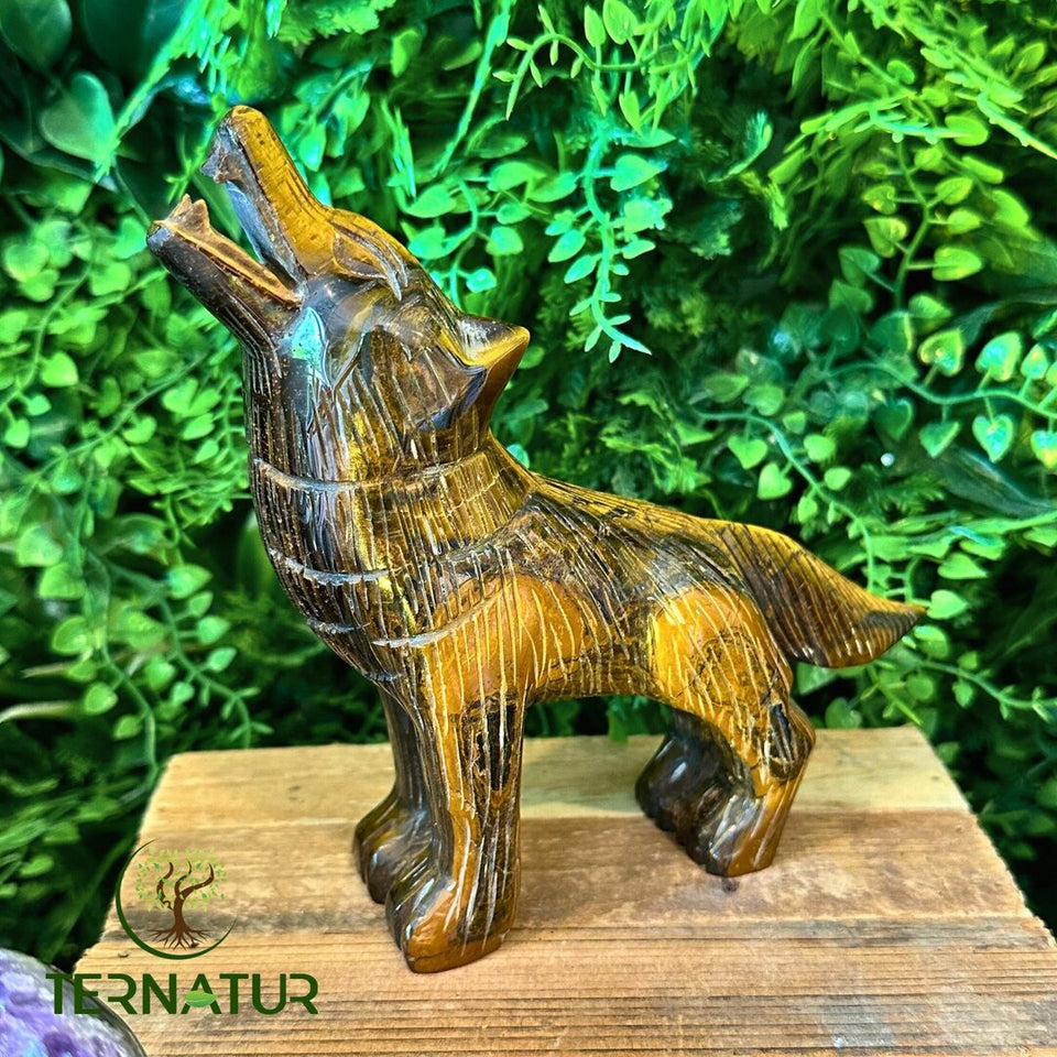 Loup en Œil de Tigre – Force et Protection