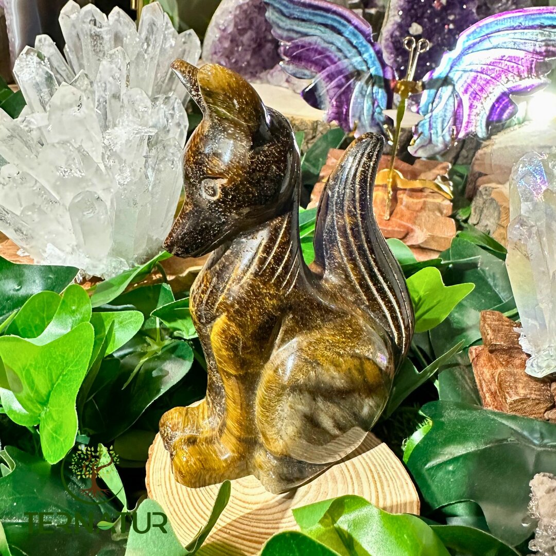 Renard en Oeil de Tigre
