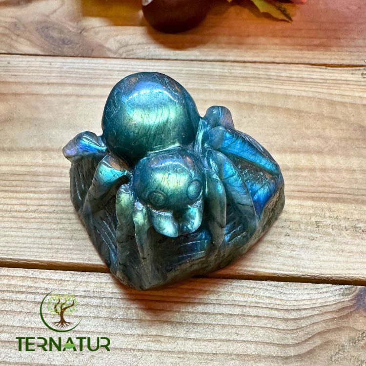 Araignée en Labradorite