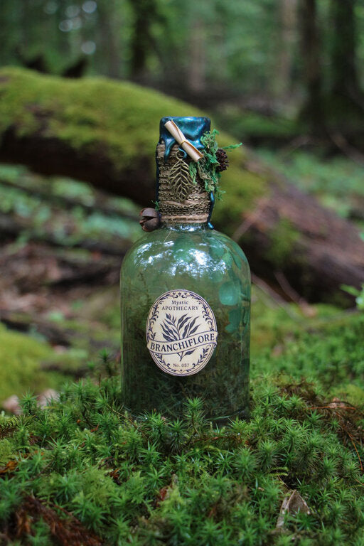 Atelier Magique – Création de Potion Féerique - 24 octobre - Édition Samhain