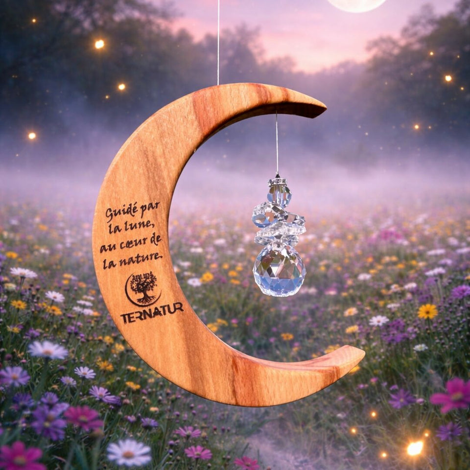 Attrape-Soleil Lune & Ange en Cristal – TERNATUR