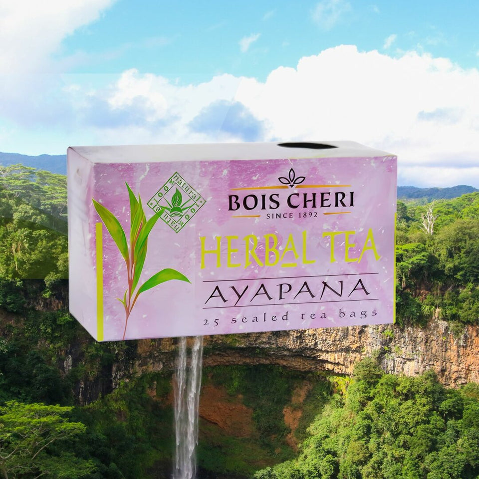 Ayapana - Bois Chéri - 25 Sachets