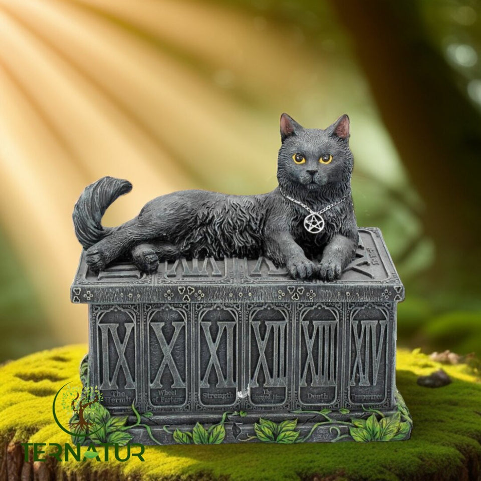Boîte Chat Mystique
