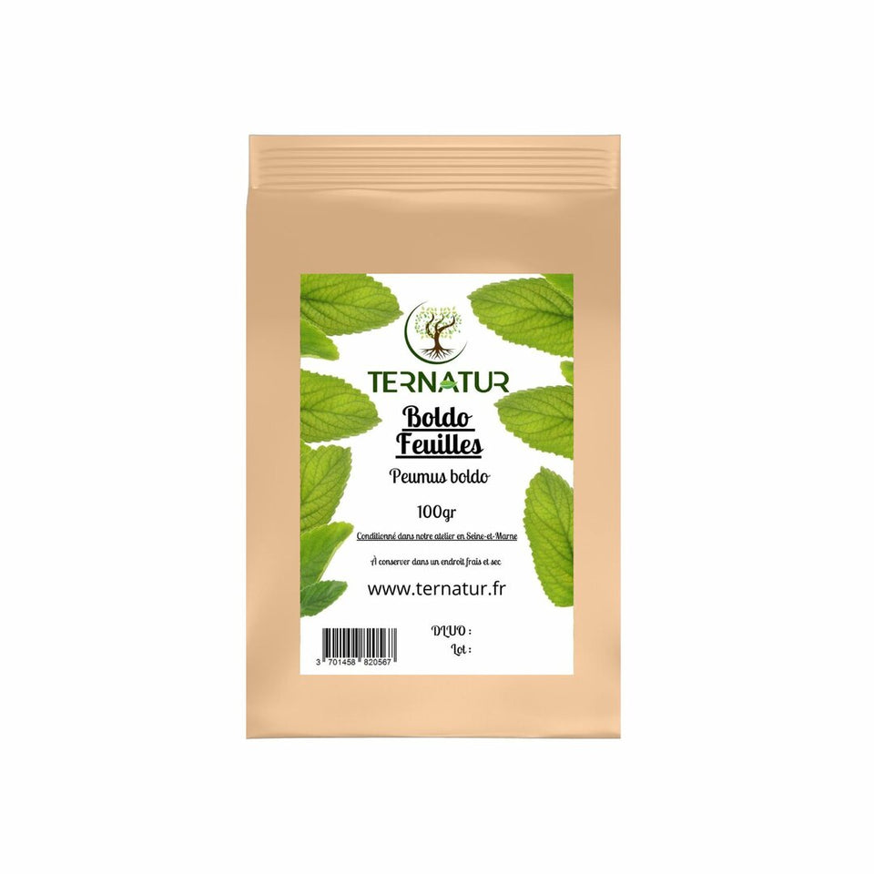 Boldo - Feuilles 100g - Peumus boldo