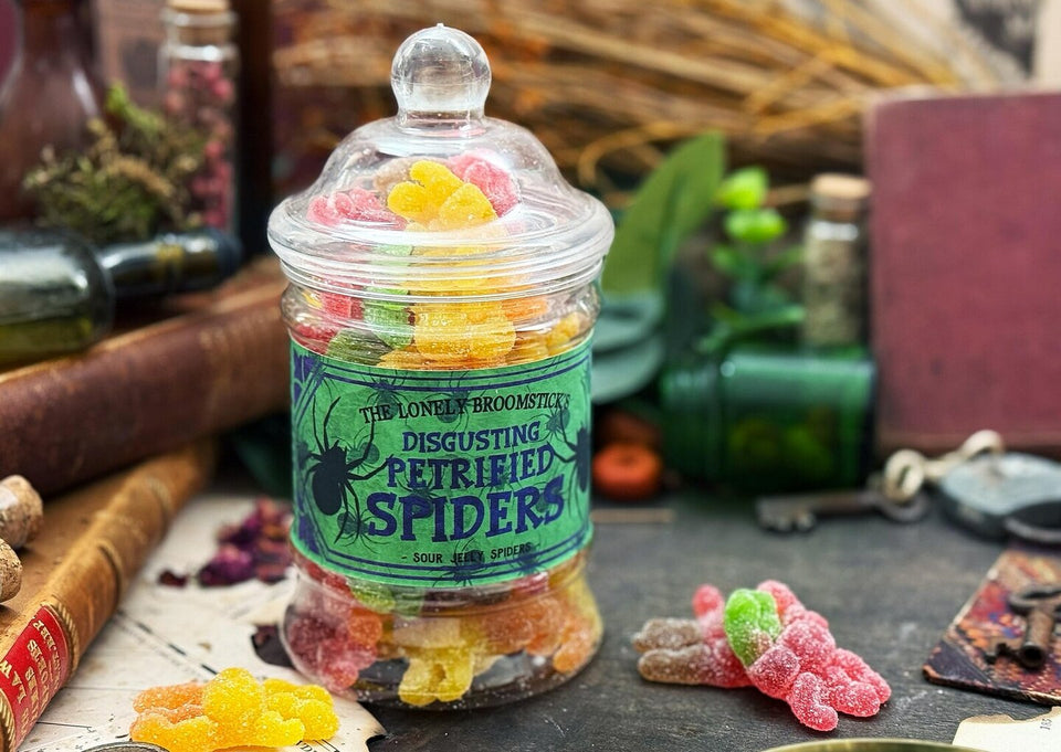 Petrified Spiders – Bonbons gélifiés araignées acidulées – 250 g