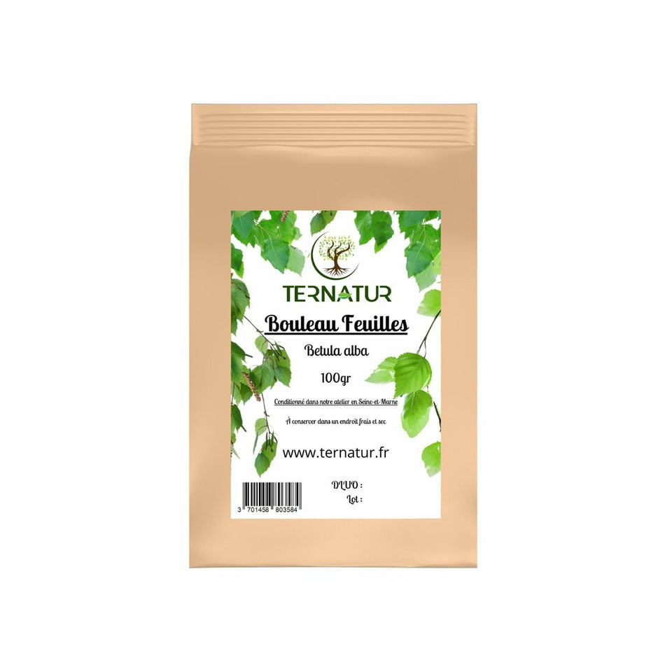 Bouleau - Feuilles 100g - Betula alba
