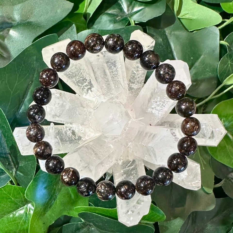 Bracelet Biotite - 8mm