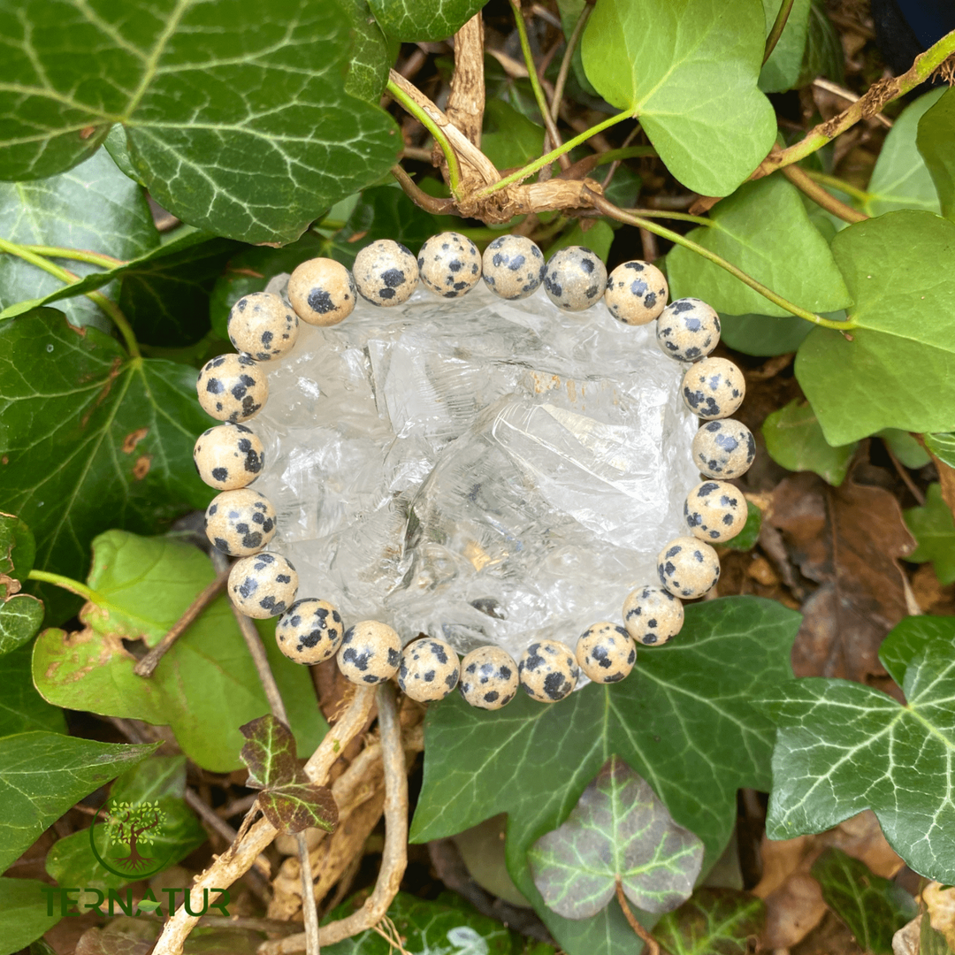 Bracelet Jaspe Dalmatien - 8mm