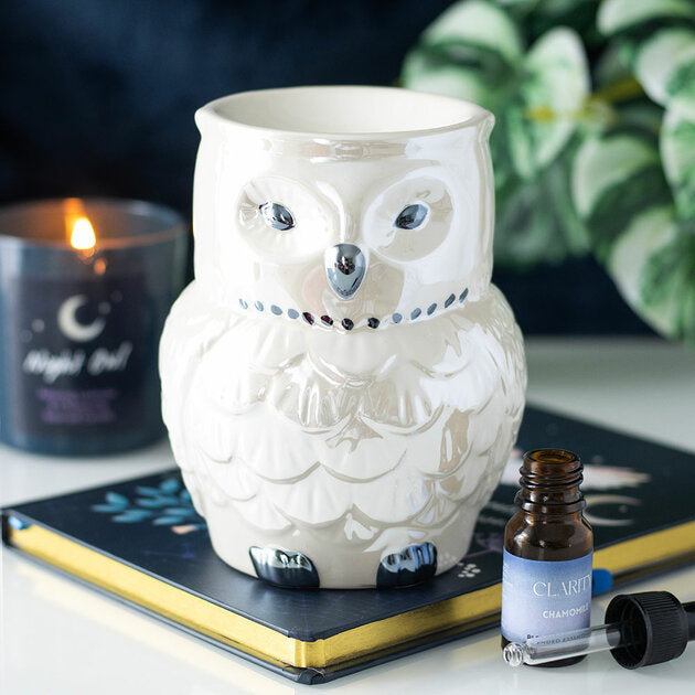 Brûleur Hibou Mystique