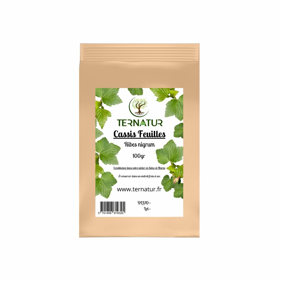 Cassis - Feuilles 100gr - Ribes nigrum