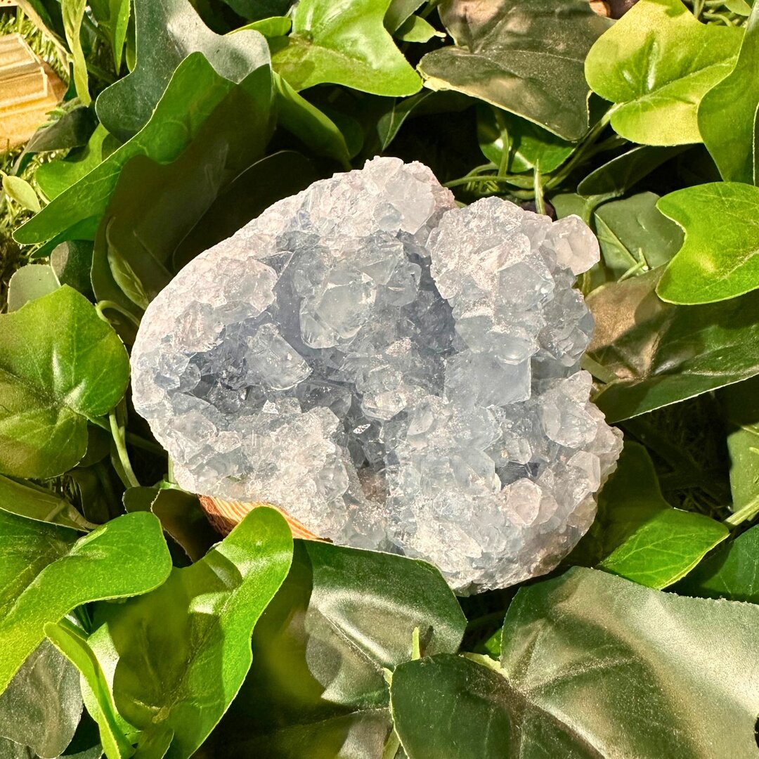 Géode de Célestine - 590gr