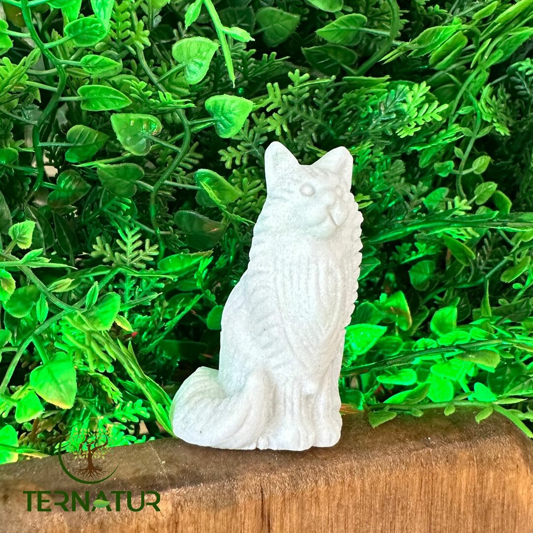 Chat "Main Coon" en Jade Blanc