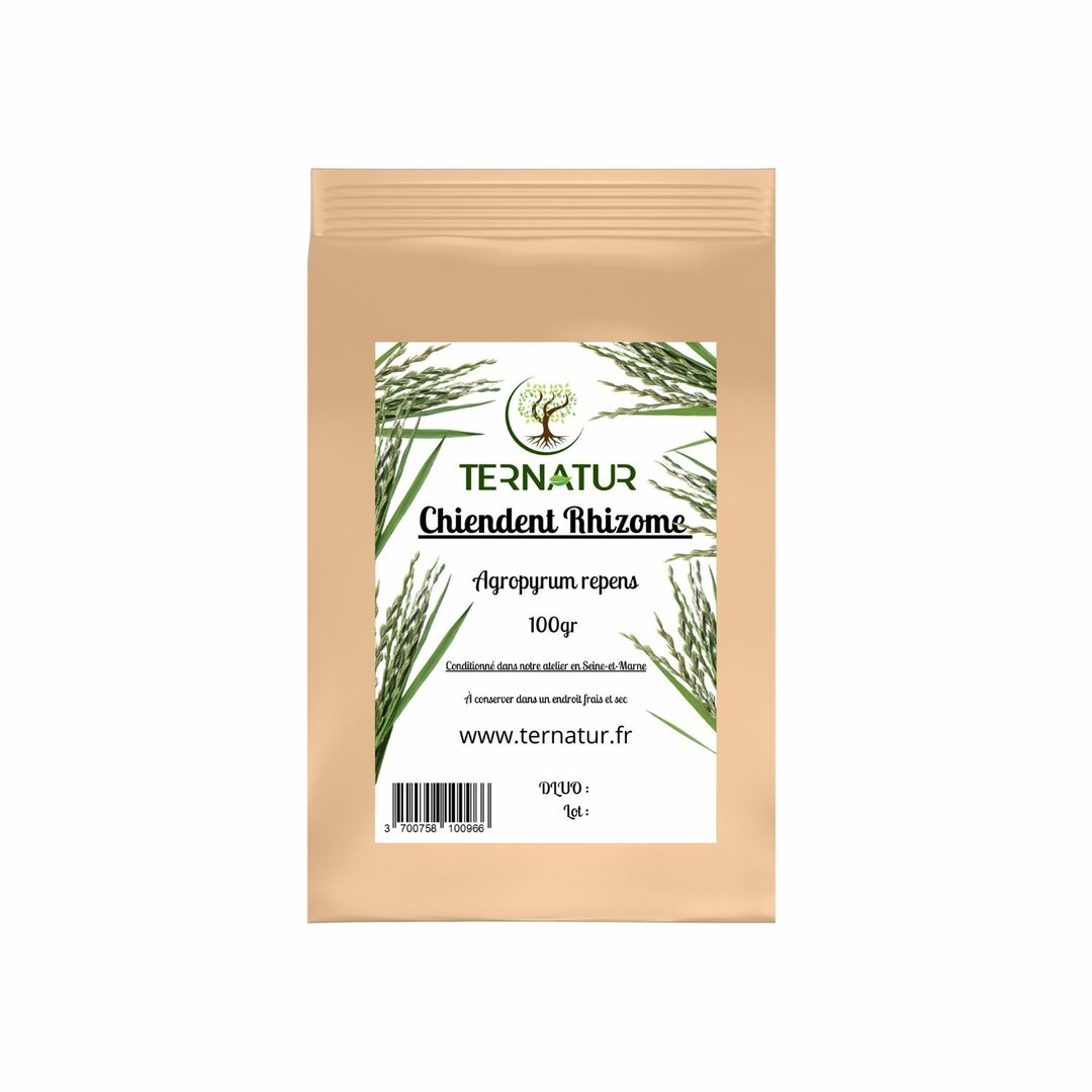 Chiendent - Rhizome 100g - Agropyrum repens