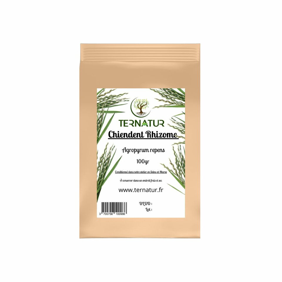 Chiendent - Rhizome 100g - Agropyrum repens