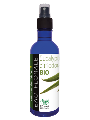 Eucalyptus Citronné - Eau Florale/Hydrolat bio