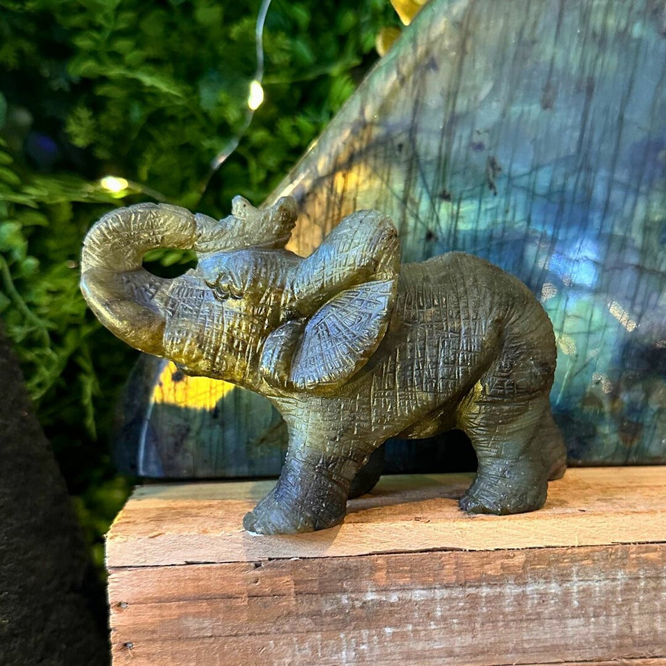 Éléphant en Labradorite