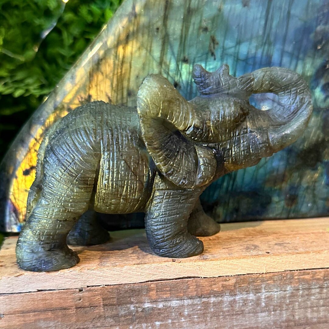 Éléphant en Labradorite