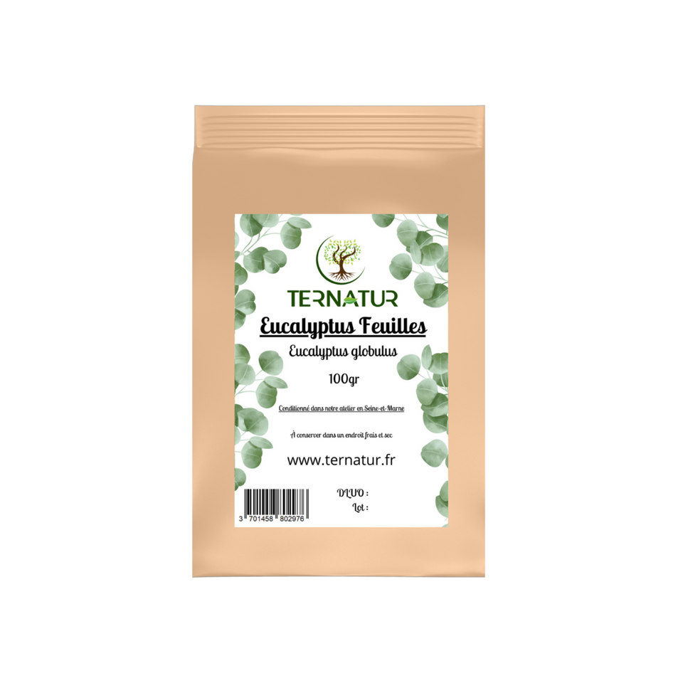 Eucalyptus - Feuilles coupées 100g - Eucalyptus globulus