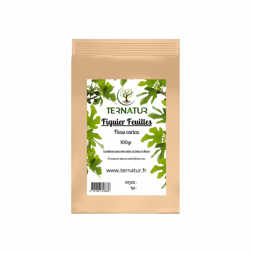 Figuier - Feuilles 100g - Ficus carica