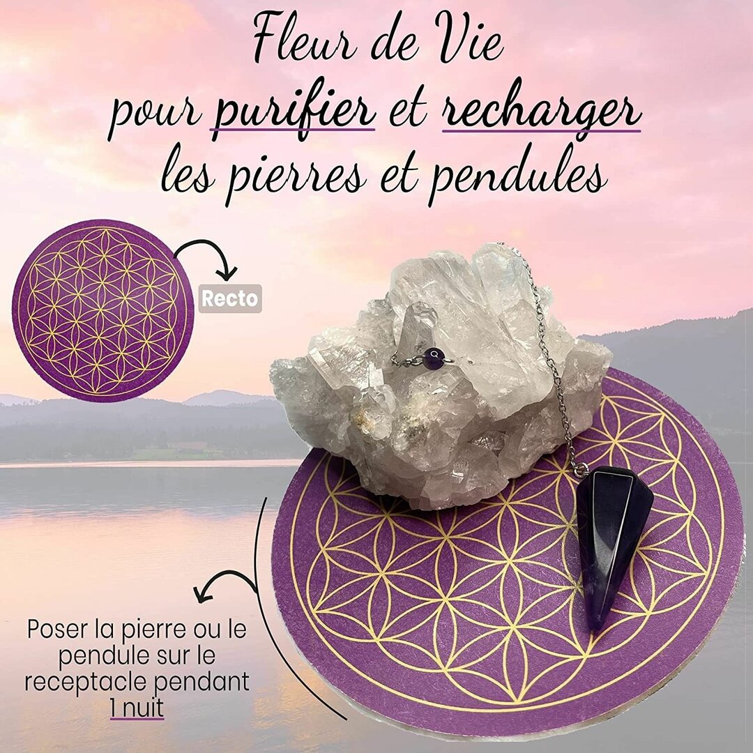 Fleur de Vie en + Échelle de Bovis