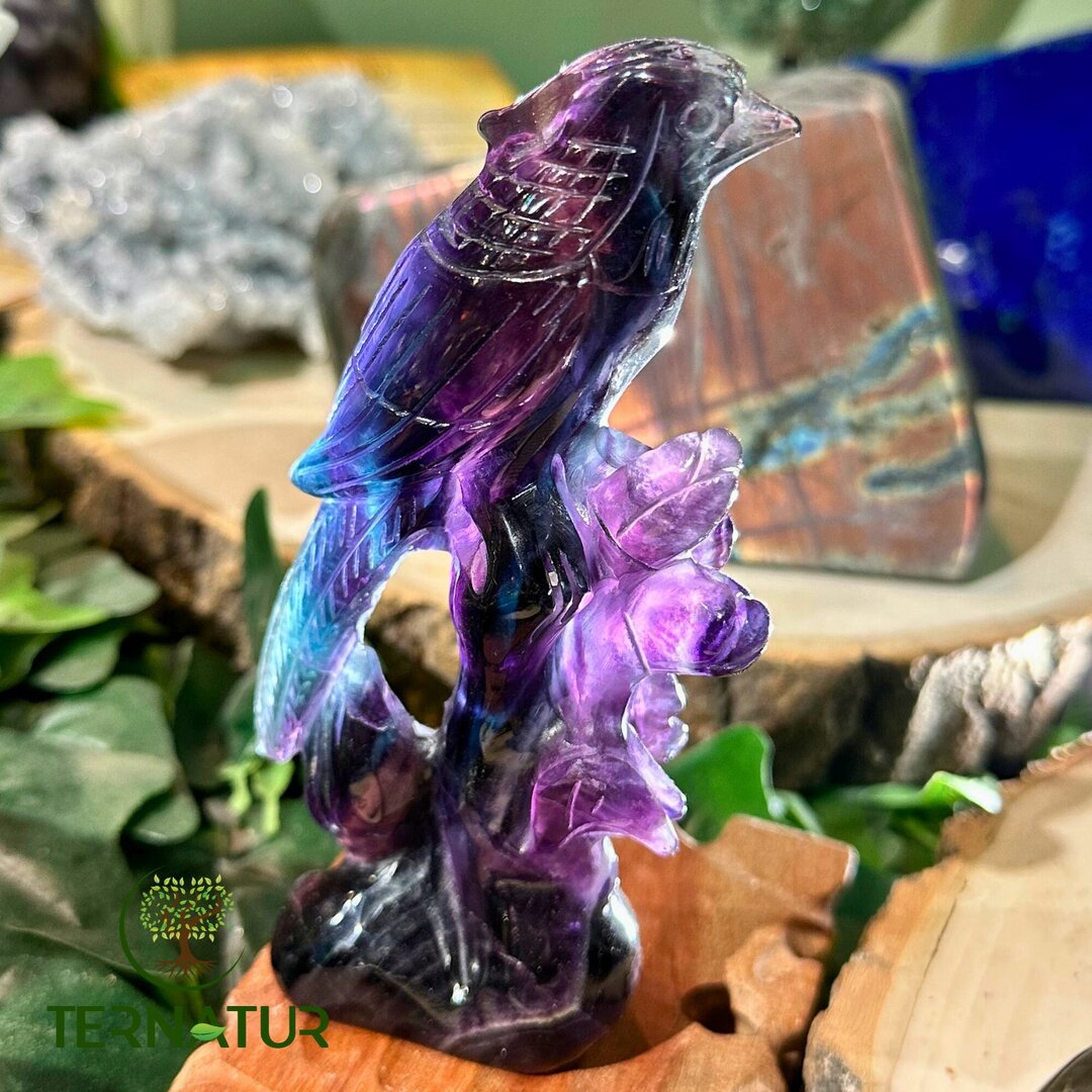 Perruche en Fluorite