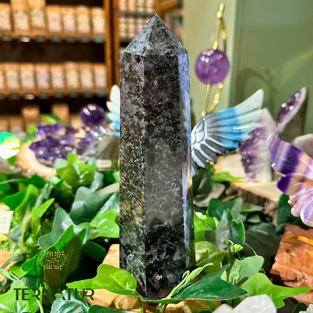 Pointe Gabbro - 20cm