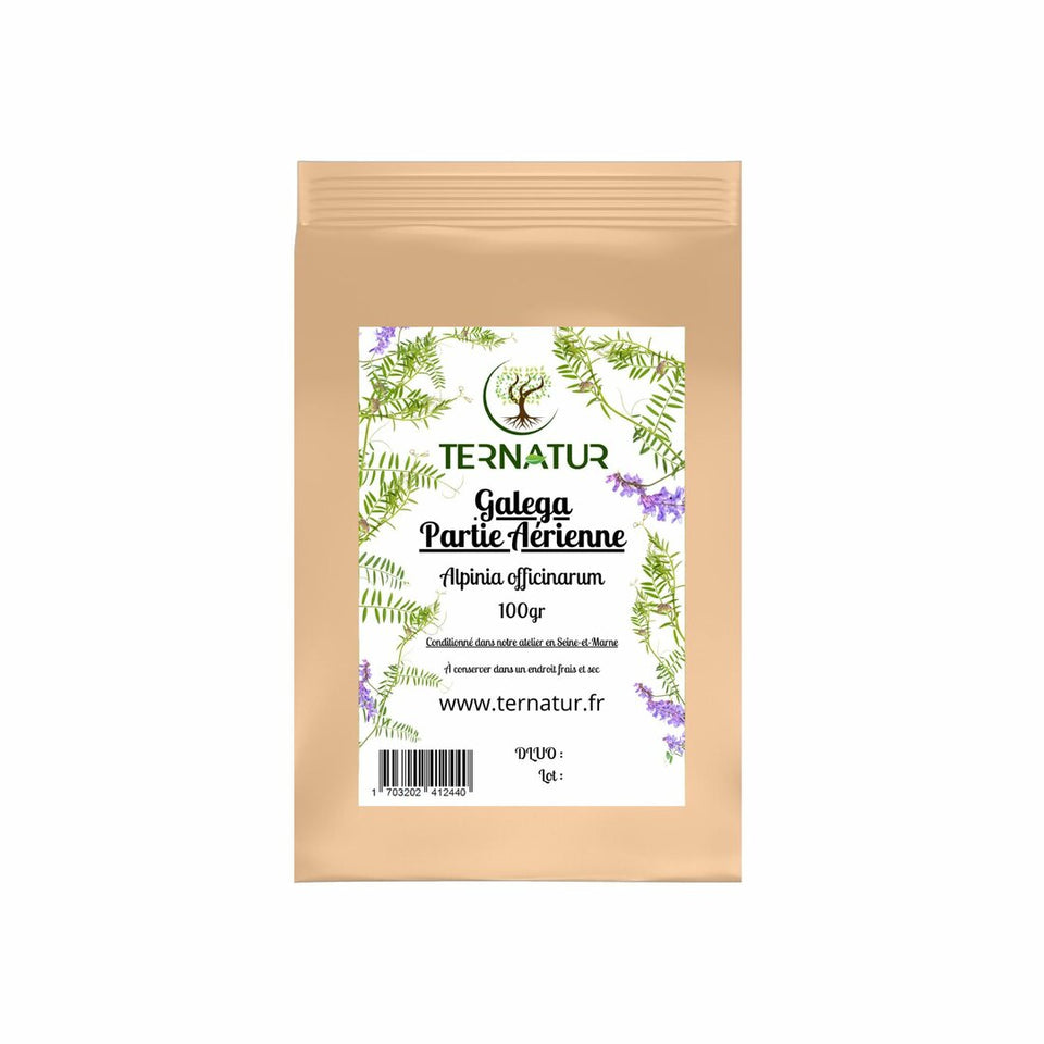 Galega - Partie aérienne 100g - Alpinia officinarum