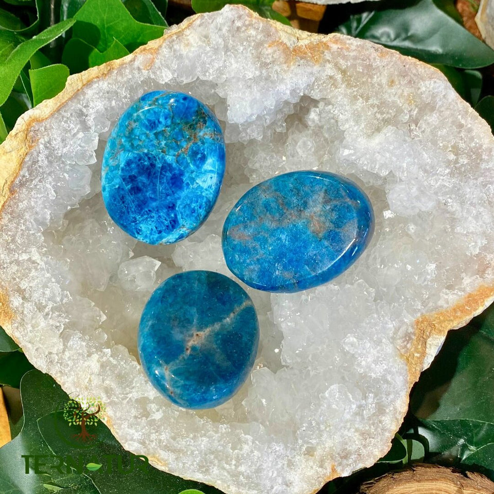 Apatite Bleue Galet