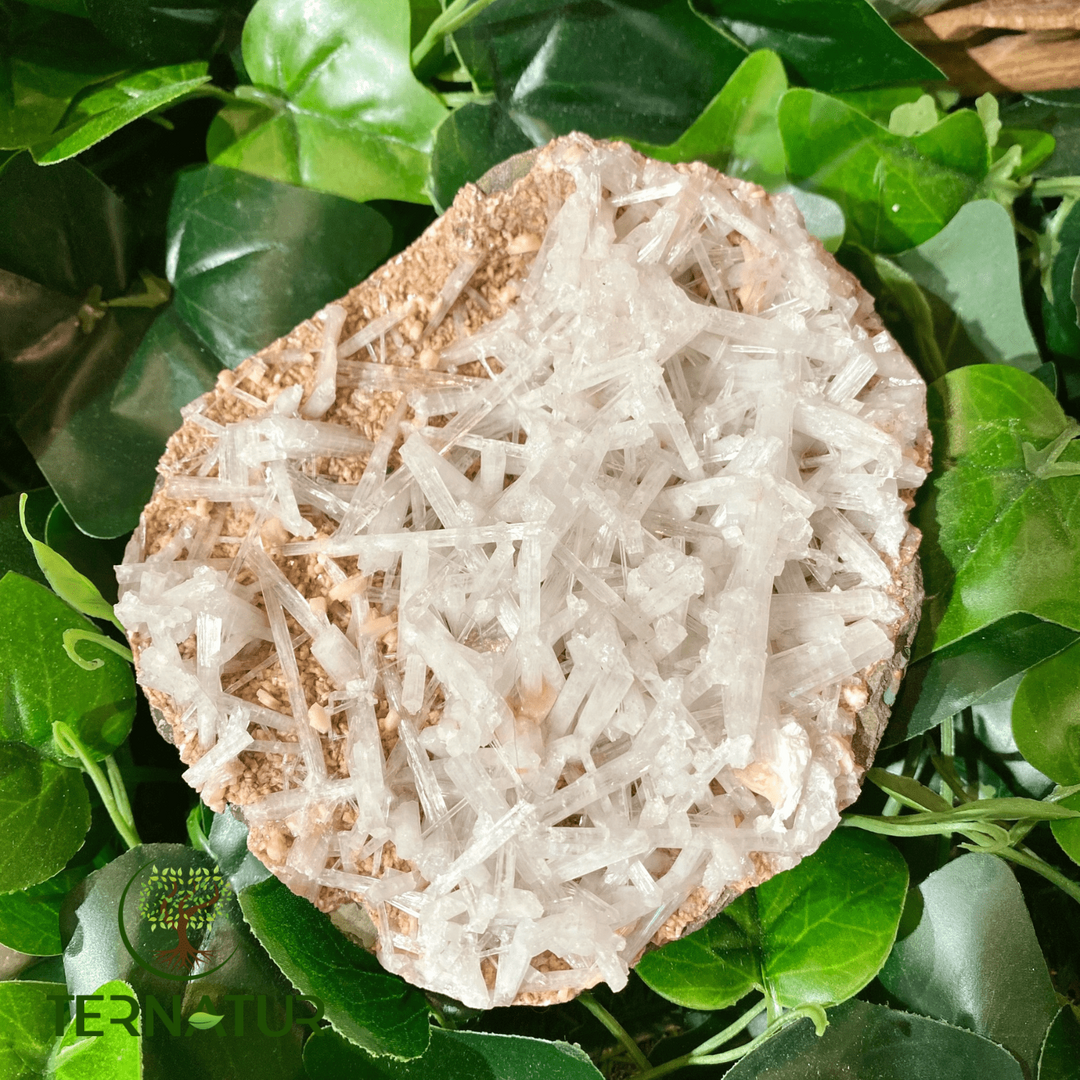 Géode de Scolecite
