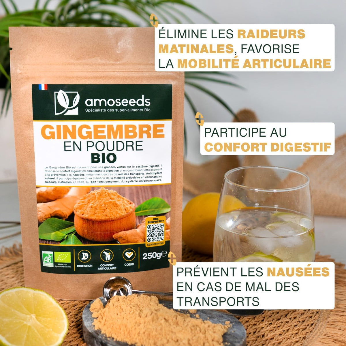 Gingembre BIO en poudre – 200 g