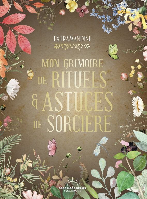 Mon Grimoire de rituels et astuces de sorcière