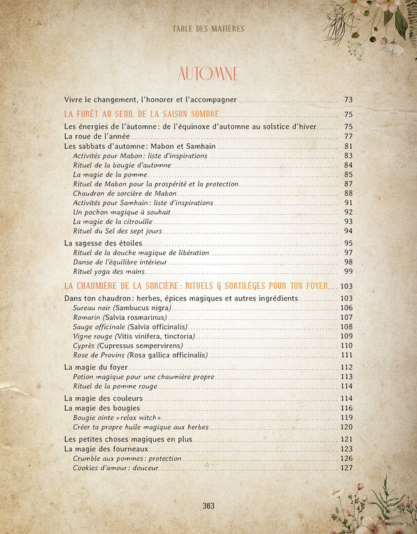 Mon Grimoire de rituels et astuces de sorcière