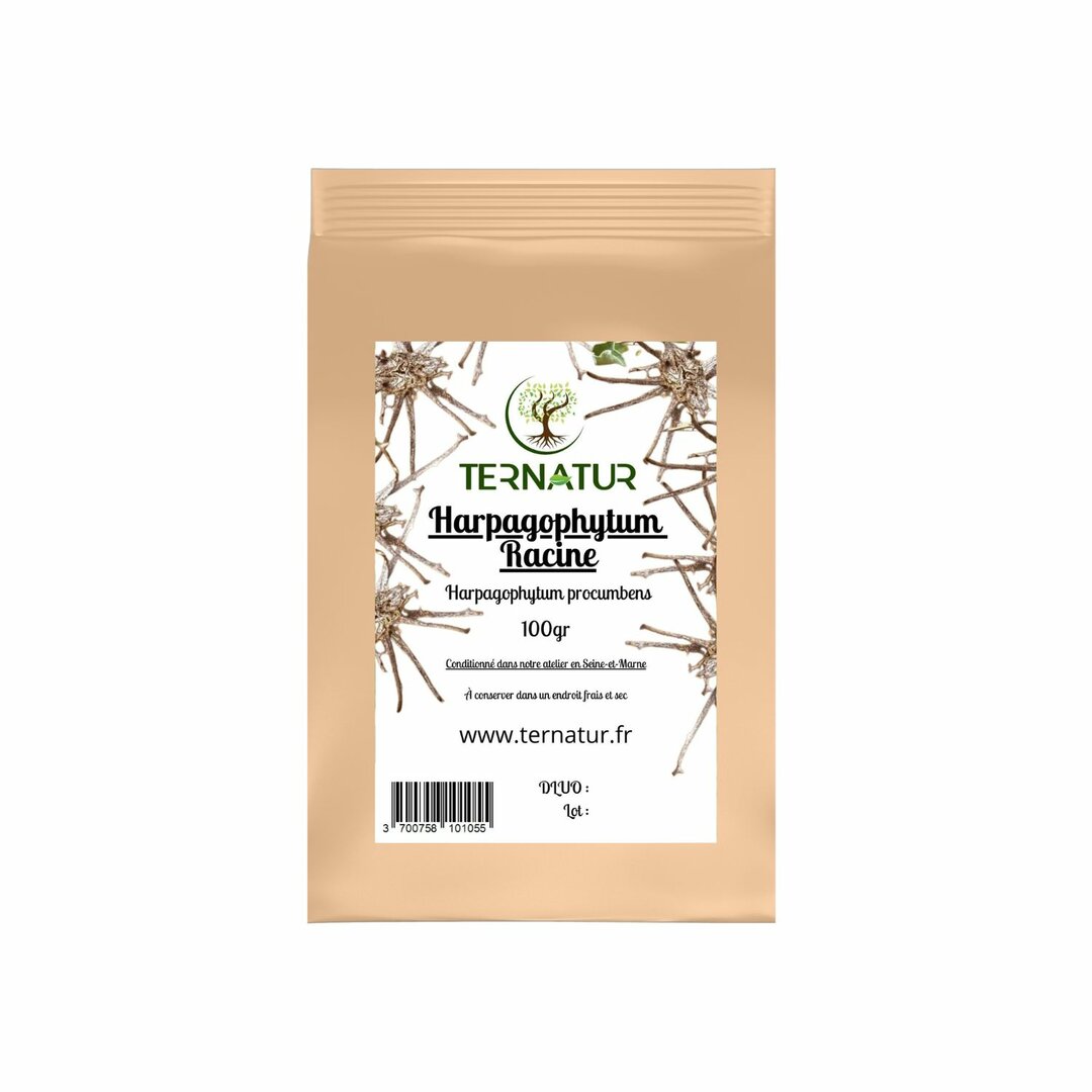 Harpagophytum (Griffe du Diable) - Racine coupée 100g - Harpagophytum procumbens