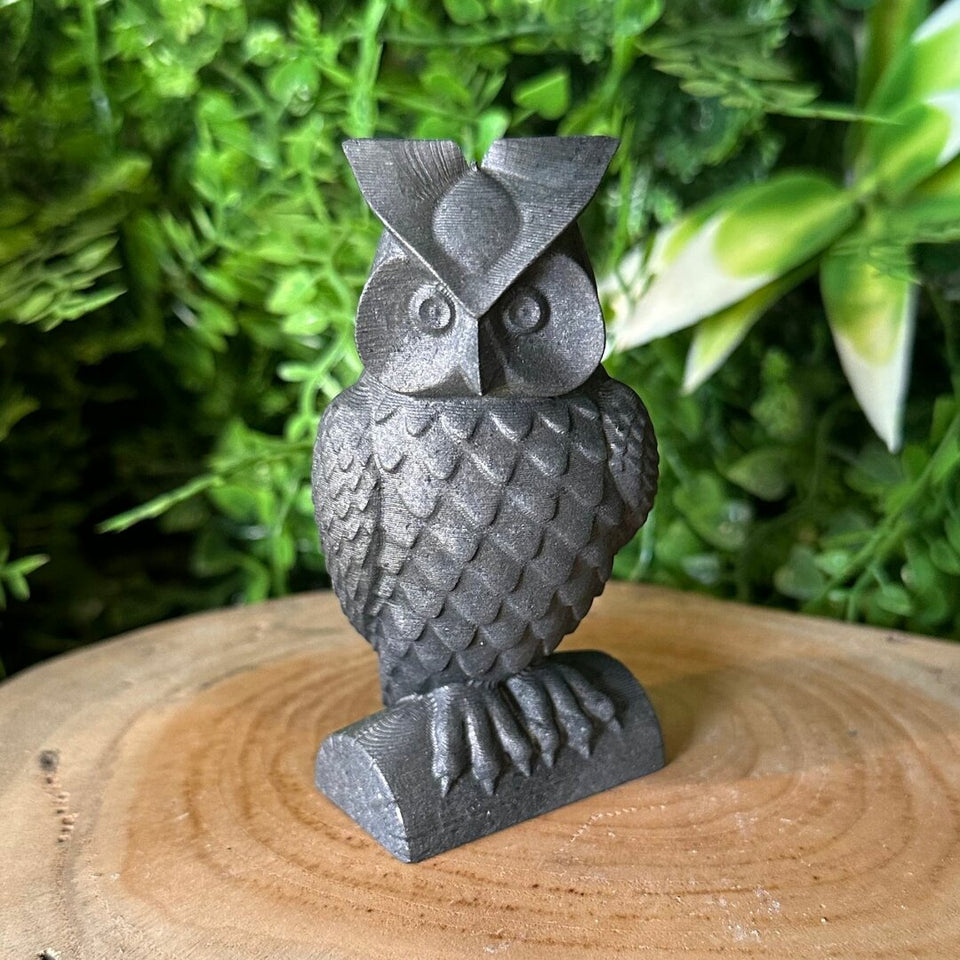 Hibou en Shungite