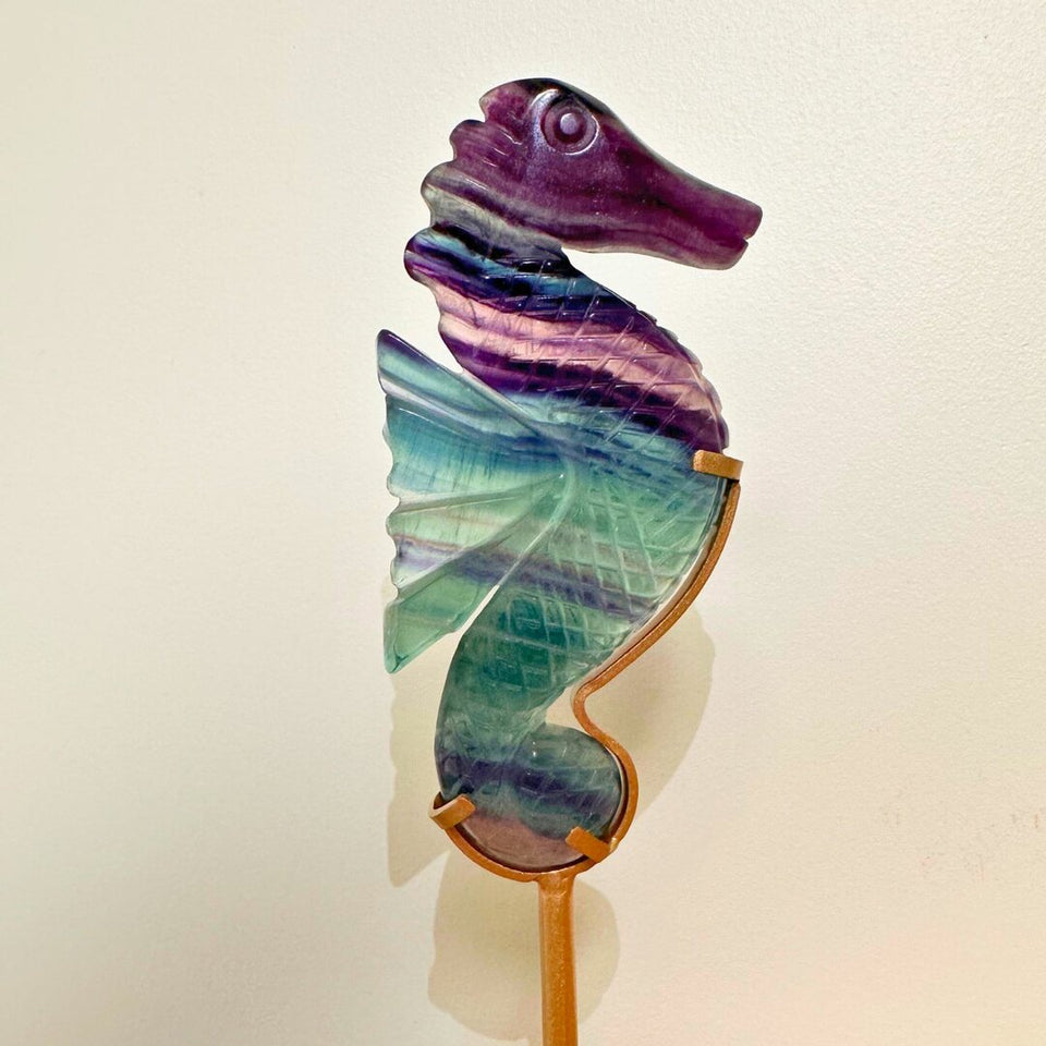Hippocampe en Fluorite