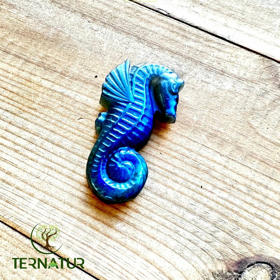 Hippocampe en Labradorite