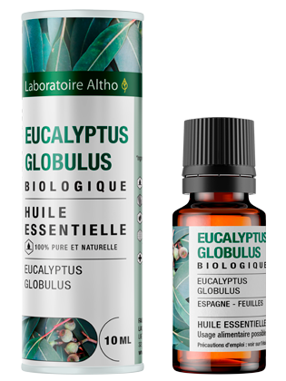 Eucalyptus Globulus - Huile essentielle bio