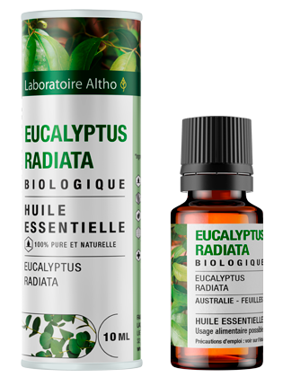 Eucalyptus Radié - Huile essentielle bio